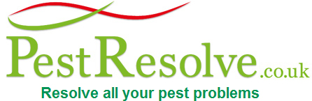 Pest Resolve